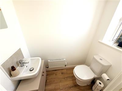Picture 13